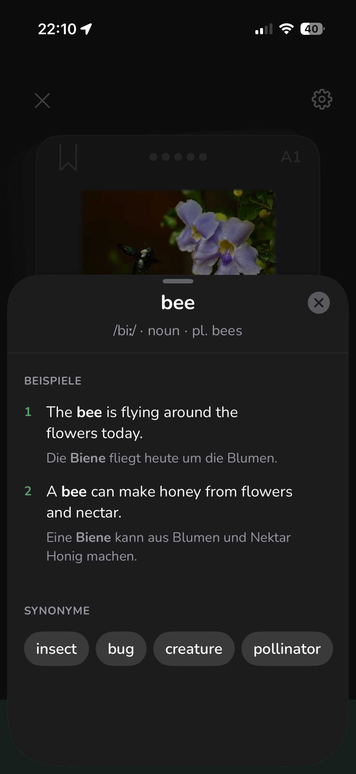 Vocabu KI Wortdetails – Aussprache, Grammatik, Beispielsätze und Synonyme auf der Karteikarte